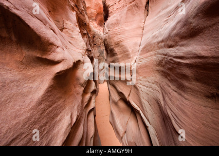 Sandstein Narrows in Spooky Gulch in der Nähe von Escalante in Grand Treppe Nationaldenkmal Utah USA Stockfoto