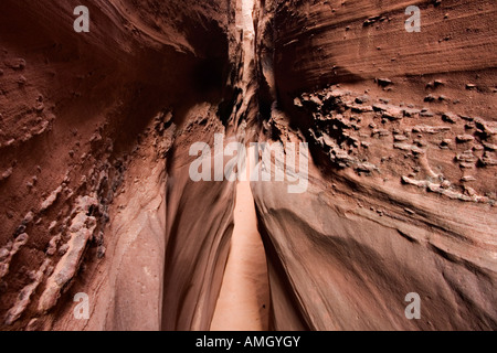 Sandstein Narrows in Spooky Gulch in der Nähe von Escalante in Grand Treppe Nationaldenkmal Utah USA Stockfoto