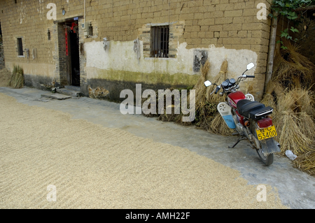 China-Guangxi-Fuli-Dorf in der Nähe Yangshuo Motorrad und Trocknen Reis auf dem Boden Stockfoto
