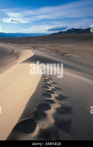 Spuren auf dem Kamm einer Sanddüne Eureka Dünen in Death Valley Nationalpark Kalifornien USA Stockfoto