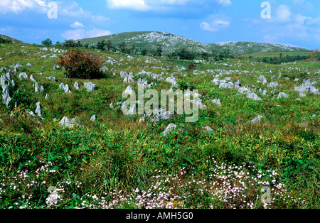 Yamaguchi, Japan Akiyoshidai-Quasi-Nationalpark, Karstlandschaft Stockfoto