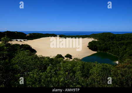 Wasserstelle auf Frazer Island, Australien Stockfoto