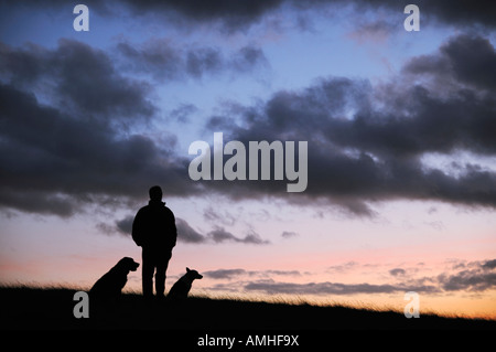 Mann mit seinen Hunden auf einem Hügel, von der Dämmerung Himmel abhebt Stockfoto