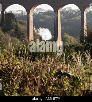 Dampfzug, die Durchfahrt unter der Brücke bei Whitby in Yorkshire, Großbritannien Stockfoto