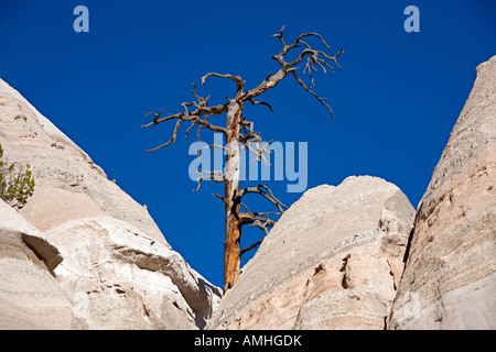 Kasha Katuwe Zelt Rocks National Monument liegt auf der Hochebene von Pajarito in Nord-Zentral New Mexiko Stockfoto