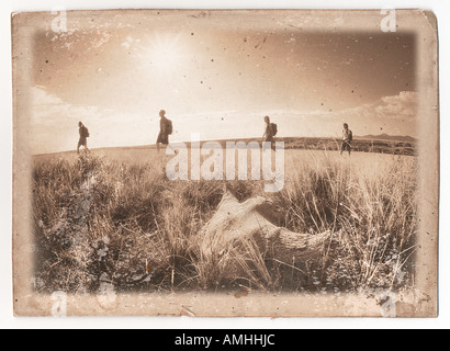 Vier Menschen wandern durch Feld, Alberta, Kanada Stockfoto