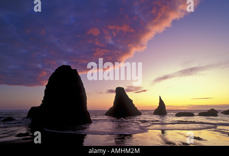 Meer-Stacks bei Sonnenuntergang Strand Bandon, Oregon Küste Stockfoto