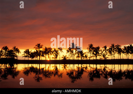 Palmen und Kuulalii Fischteich bei Sonnenuntergang Anaehoolmalu Bay Waikoloa Beach Resort Kohala Küste Insel von Hawaii Stockfoto