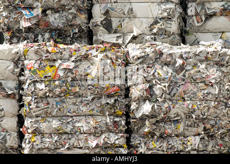 Bündel von zurückgegebenen Zeitungen auf Papier-recycling-Anlage England UK Stockfoto