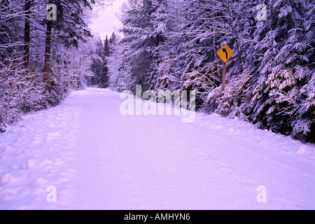 Straße durch Bäume im Winter, Algonquin Provincial Park, Ontario, Kanada Stockfoto