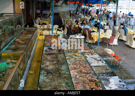 Fisch und Schalentiere in Tanks auf eine chinesische Meeresfrüchte Restaurant Sai Kung Hong Kong zu leben Stockfoto