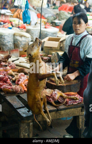 Frau, die einen Hund für Fleisch in einem lokalen Markt Yangshuo China Schlachten Stockfoto