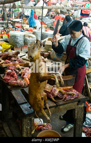 Frau, die einen Hund für Fleisch in einem lokalen Markt Yangshuo China Schlachten Stockfoto