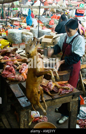 Frau, die einen Hund für Fleisch in einem lokalen Markt Yangshuo China Schlachten Stockfoto