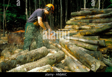 Ian Taylor mit Kette sah Holzfällen für Holzkohle im Lake District in der Nähe von Kendal Cumbria. Stockfoto