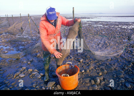 Brendan Sellick der letzten Schlamm Fischer in den Bristolkanal bei Ebbe Stockfoto