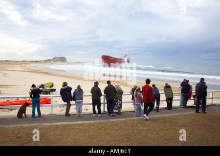 8. Juni 2007 trieb die Pascha-Bulker auf Nobby Beach Newcastle New South Wales Australien. Stockfoto