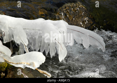 Eiszapfen auf einem Ast über einen kristallklaren Bach Stockfoto