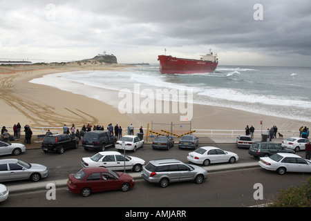 8. Juni 2007 trieb die Pascha-Bulker auf Nobby Beach Newcastle New South Wales Australien. Stockfoto