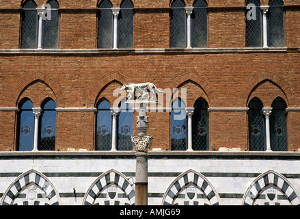 Statue von Remus, Siena, Toskana, Italien Stockfoto