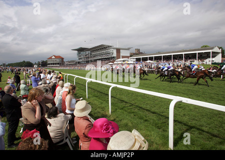 Ein Pferderennen Royal Ascot in York, Großbritannien Stockfoto