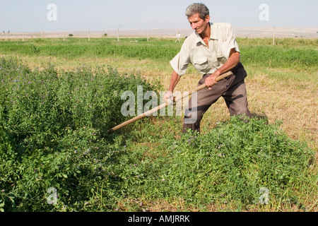 Goranboy, Aserbaidschan 2005 Stockfoto