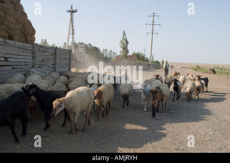 Goranboy, Aserbaidschan 2005 Stockfoto