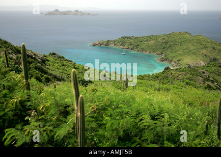 Fahrtenyacht verankert vor Grand Colombier Beach St. Barts Insel Kaktus im Vordergrund Stockfoto