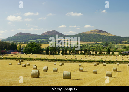 Scotland northwest to the Eildon Hills over harvested corn field farmland near St Boswell in Borders Region. Summer harvest. Stockfoto