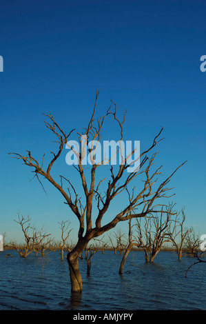 See Pamamaroo, Kinchega Nationalpark, New South Wales, Australien. Stockfoto