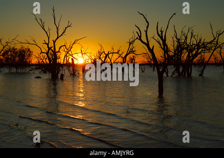Sonnenuntergang am See Pamamaroo, Kinchega National Park, New-South.Wales, Australien. Stockfoto