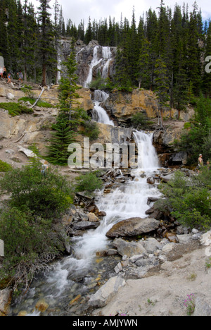 Tangle Wasserfällen entlang Icefields Parkway-Banff Nationalpark Alberta Kanada kanadischen Rockies kanadischen Rocky Mountains Stockfoto