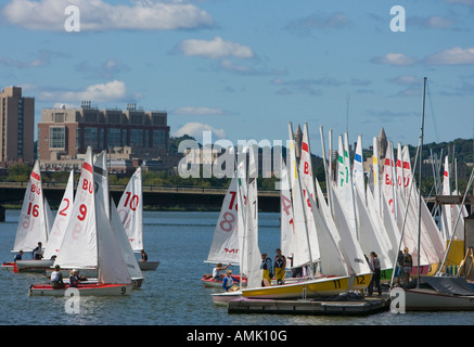 Segelboote auf dem Charles River Stockfoto