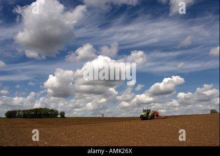 Anpflanzung von Erbsen in Norfolk, Frühling 2007 Stockfoto