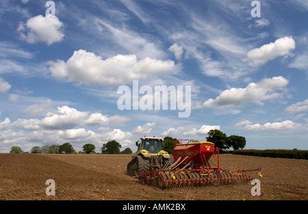Anpflanzung von Erbsen in Norfolk, Frühling 2007 Stockfoto