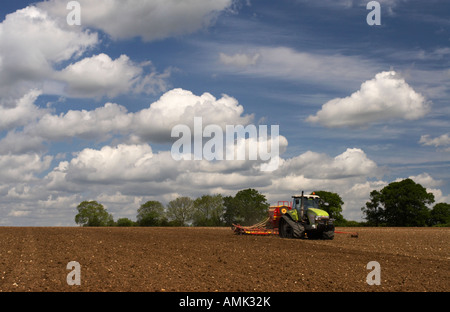 Anpflanzung von Erbsen in Norfolk, Frühling 2007 Stockfoto