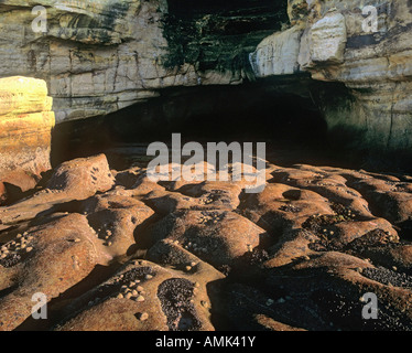 verschlungene rote Felsen an der Mündung eines Meeres cave Cove Bucht, Hopeman, Moray, Schottland. Stockfoto