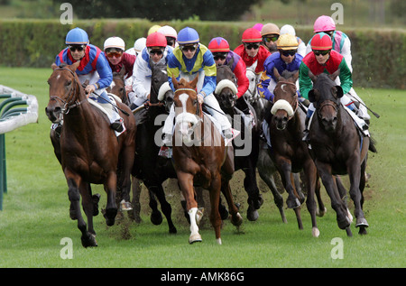 Rennpferde in Longchamp in Paris, Frankreich Stockfoto