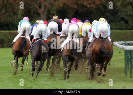 Rennpferde in Longchamp in Paris, Frankreich Stockfoto