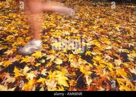 Frau läuft auf Feldweg, verschwommene Bewegung der Füße in Nahaufnahme Stockfoto