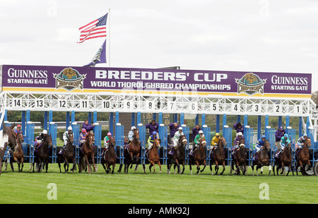 Pferde springen aus Startboxen auf der Breeders Cup Pferderennen, New York, USA Stockfoto