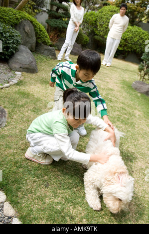 Kinder spielen mit Hund Stockfoto