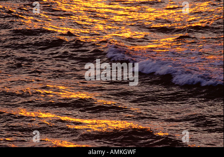 Surf, Cavendish Beach, Prince-Edward-Insel, Kanada Stockfoto