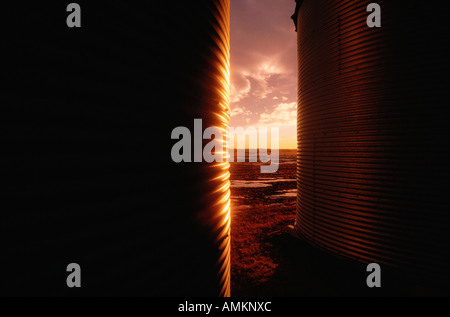 Korn-Lagerplatz bei Sonnenuntergang Alberta, Kanada Stockfoto