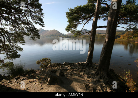 "SEE DISTRICT'BLUE HIMMEL, BÄUME LAUB, NATUR, IDYLLISCHE WASSER Stockfoto