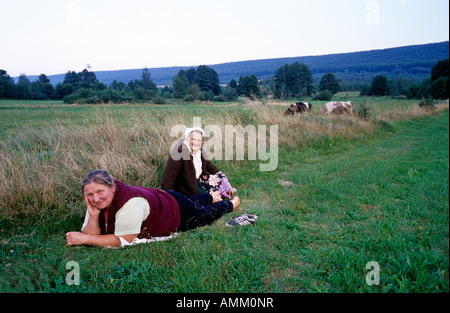 Polen Woiwodschaft Świętokrzyskie Kapkazy Schäferin in Feld Stockfoto