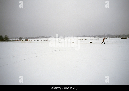 Blackheath, South East London Uk im Schnee Stockfoto