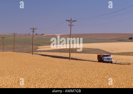 LKW auf der Straße durch Weizen Feld Washington State, USA Stockfoto
