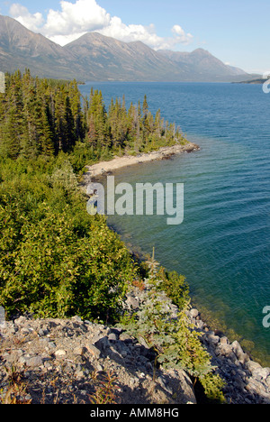 Windige Armverlängerung des Tagish Lake entlang South Klondike Highway Yukon Territorium YT Kanada Stockfoto