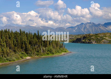 Windige Armverlängerung des Tagish Lake entlang South Klondike Highway Yukon Territorium YT Kanada Stockfoto